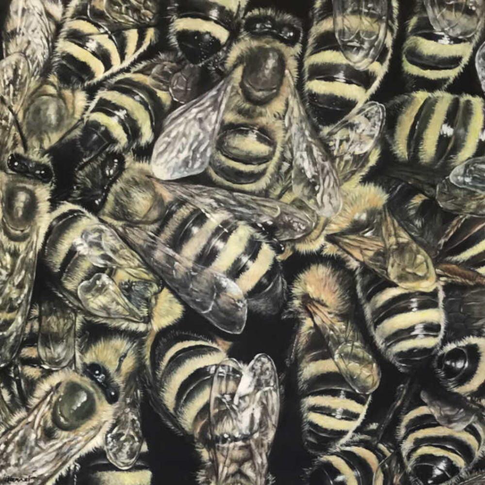 big bees
