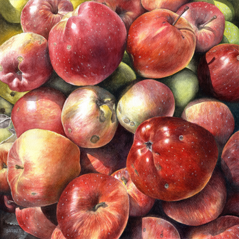 dans les pommes