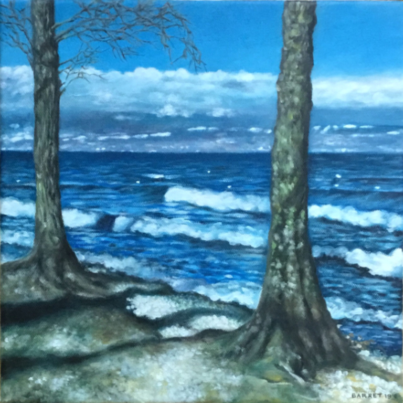 deux arbres à la plage