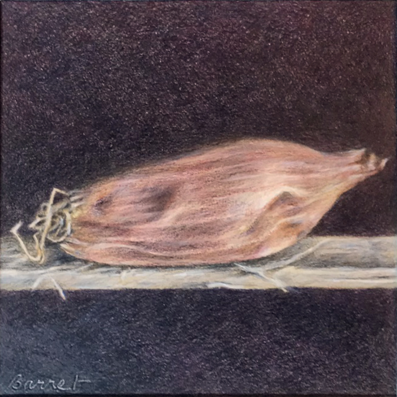 échalote