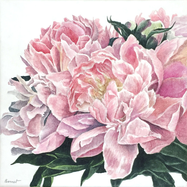 pivoine_1